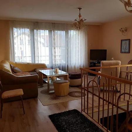 Pensiune Gerovi House